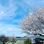 柏湖南聖地公苑